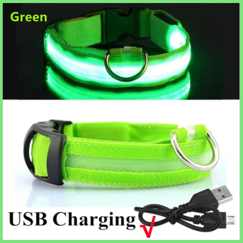 GlowPaw™ LED Pet Collar – USB Rechargeable, Adjustable & Waterproof Night Safety Light for Dogs and Cats