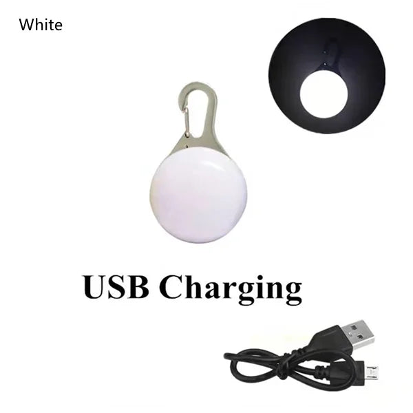 GlowPaw™ LED Pet Tag – USB Rechargeable Light for Dogs & Cats | Night Safety Collar Pendant with Flash & Steady Modes