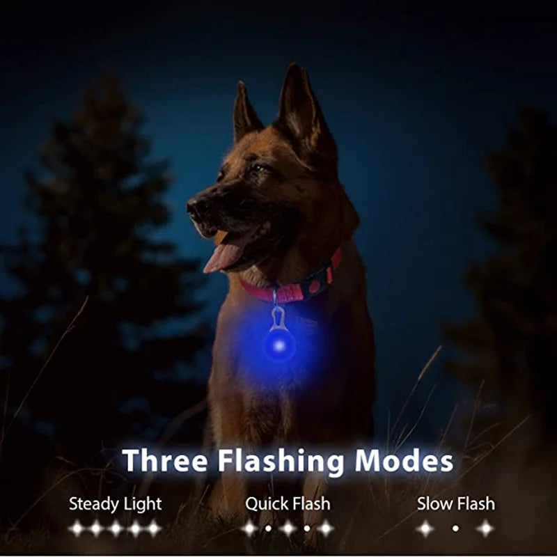 GlowPaw™ LED Pet Tag – USB Rechargeable Light for Dogs & Cats | Night Safety Collar Pendant with Flash & Steady Modes