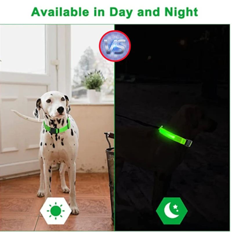 GlowPaw™ LED Pet Collar – USB Rechargeable, Adjustable & Waterproof Night Safety Light for Dogs and Cats