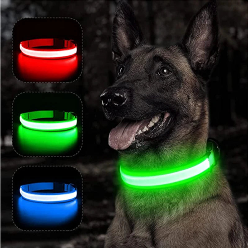 GlowPaw™ LED Pet Collar – USB Rechargeable, Adjustable & Waterproof Night Safety Light for Dogs and Cats