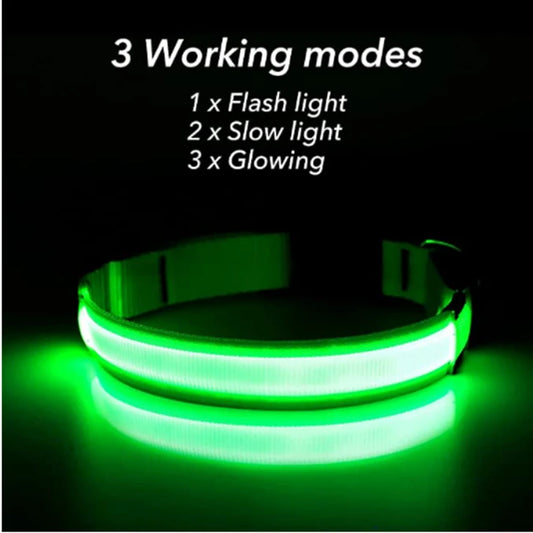 GlowPaw™ LED Pet Collar – USB Rechargeable, Adjustable & Waterproof Night Safety Light for Dogs and Cats