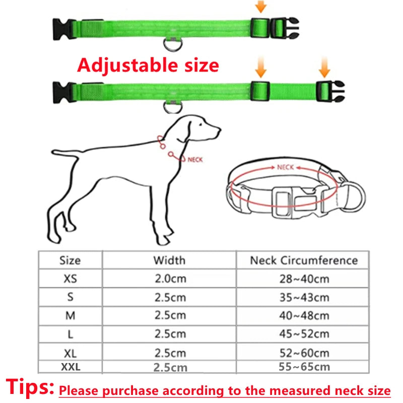 GlowPaw™ LED Pet Collar – USB Rechargeable, Adjustable & Waterproof Night Safety Light for Dogs and Cats